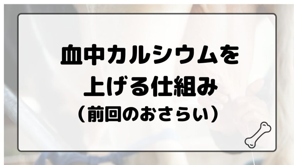 血中カルシウムを上げる仕組み（前回のおさらい） 